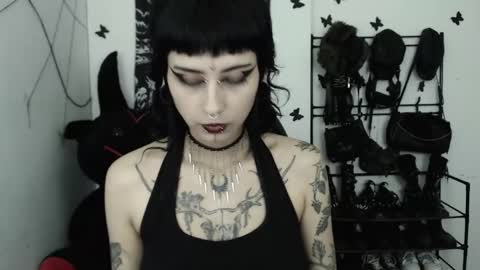 Snapshot of dakota_krall_ chatting on February 1, 2026, 11:36 pm dakota online show from February 1, 2026, 11:36 pm