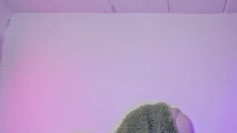 Criss online show from February 6, 2025, 4:21 am