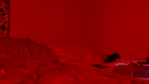 Nova online show from April 11, 2026, 8:18 am