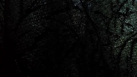 Snapshot of damsonxo chatting on September 28, 2025, 8:09 am Damson online show from September 28, 2025, 8:09 am