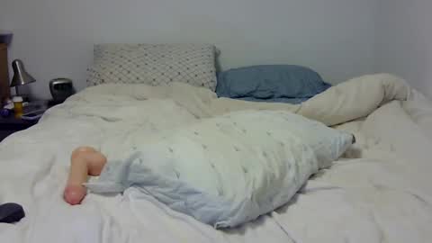 Snapshot of dandyhandys chatting on February 7, 2025, 2:19 am Andy online show from February 7, 2025, 2:19 am