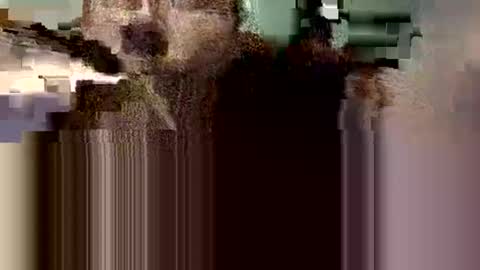 Snapshot of danieldayz chatting on October 9, 2025, 8:34 am danieldayz online show from October 9, 2025, 8:34 am