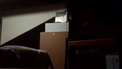 Snapshot of danieldayz chatting on November 4, 2025, 10:58 am danieldayz online show from November 4, 2025, 10:58 am