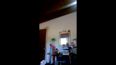 danielledelrey online show from February 3, 2026, 12:21 pm