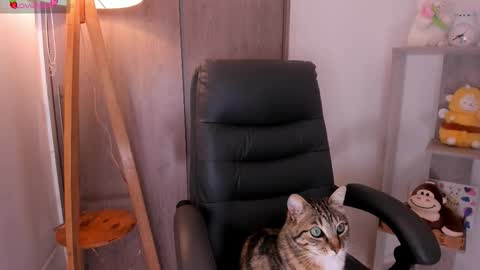 Danielle Rose online show from November 2, 2025, 8:22 pm