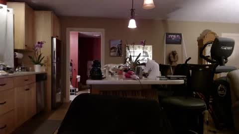 DanikaWhite69 online show from February 28, 2025, 7:26 am