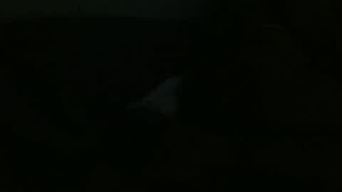 Dee online show from December 24, 2024, 12:00 pm