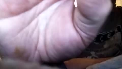 Snapshot of dannowisc chatting on February 1, 2026, 12:37 pm dannowisc online show from February 1, 2026, 12:37 pm