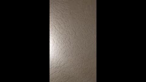 dano9696 online show from January 19, 2026, 5:44 am