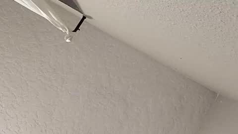 dano9696 online show from February 23, 2026, 7:28 am