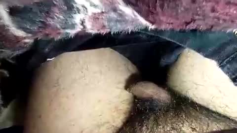 Snapshot of dansweetie_20 chatting on February 12, 2026, 10:27 pm dansweetie_20 online show from February 12, 2026, 10:27 pm