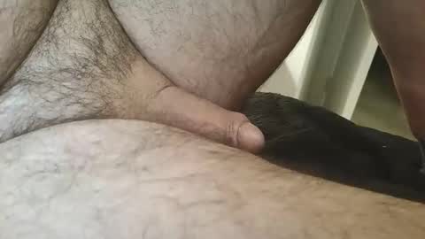 dapppper online show from February 22, 2026, 2:24 am