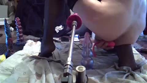 daqna1 online show from April 11, 2026, 7:56 am