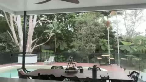 Snapshot of dartanian0001 chatting on September 18, 2025, 8:55 pm dartanian0001 online show from September 18, 2025, 8:55 pm