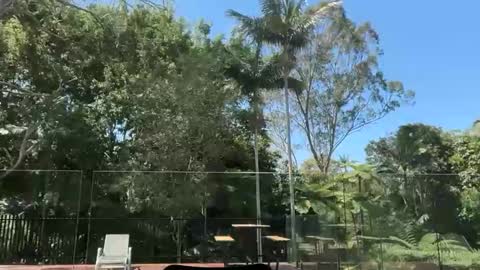 Snapshot of dartanian0001 chatting on September 30, 2025, 2:05 am dartanian0001 online show from September 30, 2025, 2:05 am