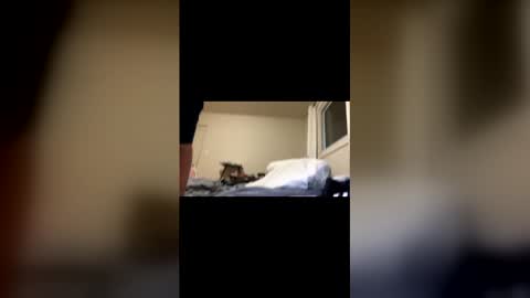 Exhibit A online show from February 22, 2026, 11:20 am