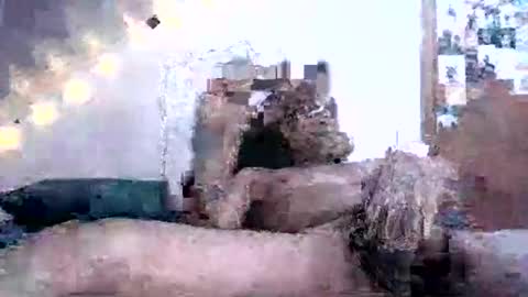 David Berry online show from February 16, 2025, 2:10 pm