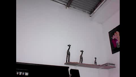 davidstuart online show from January 23, 2025, 7:07 pm