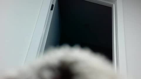 Snapshot of davyd11 chatting on September 18, 2025, 4:31 pm Davvyd online show from September 18, 2025, 4:31 pm