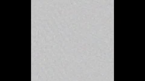 dxdawgty online show from February 16, 2026, 1:13 am