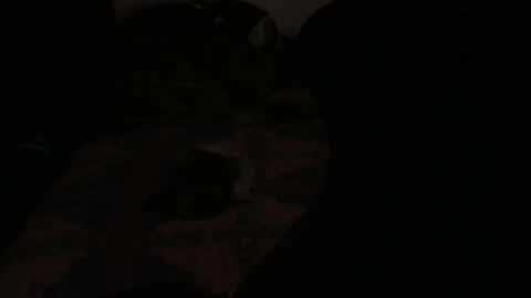 DC online show from November 23, 2025, 2:22 am