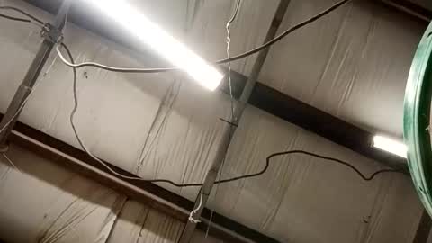 ddkjosh online show from February 15, 2026, 1:31 pm