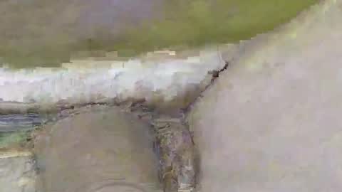 Dive Deep online show from November 2, 2025, 2:08 pm