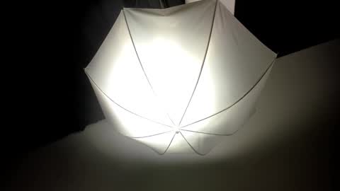 Snapshot of dei_v_48 chatting on February 14, 2025, 8:31 am DEIVY online show from February 14, 2025, 8:31 am