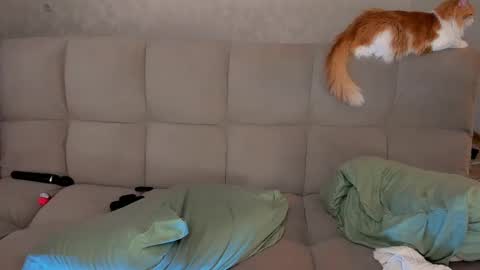 Snapshot of dementra chatting on March 8, 2025, 2:55 am Victoria and Nara twitterinstagram dementra rawrr online show from March 8, 2025, 2:55 am