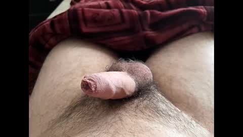 LilRoach online show from February 10, 2026, 2:21 pm