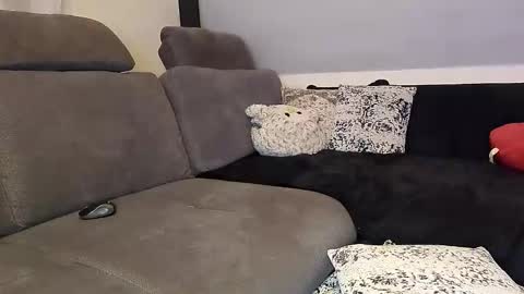 Denise and Brad online show from November 12, 2025, 5:13 pm