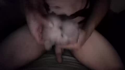 desadewasabffreakswitch online show from January 16, 2026, 9:46 am