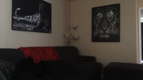 Snapshot of detectivearcor chatting on January 27, 2025, 6:09 pm detectivearcor online show from January 27, 2025, 6:09 pm