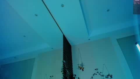 Devil online show from February 19, 2025, 3:39 am