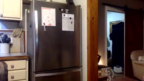 devjsav12 online show from January 19, 2025, 3:50 am