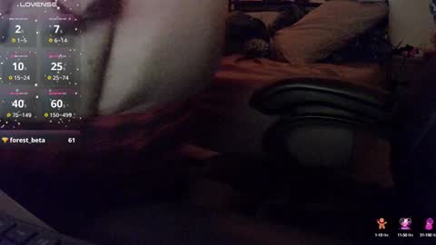 Snapshot of dicksmith99 chatting on February 4, 2025, 5:31 am Steve online show from February 4, 2025, 5:31 am