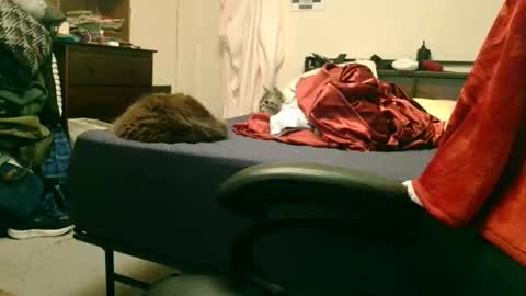 Snapshot of dicksmith99 chatting on February 15, 2026, 2:19 am Steve online show from February 15, 2026, 2:19 am