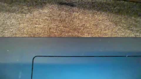 Snapshot of dicky_doo2 chatting on January 5, 2025, 1:04 pm Bigmick online show from January 5, 2025, 1:04 pm