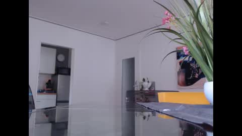 Snapshot of didiegal chatting on November 8, 2025, 10:04 am squirtcock online show from November 8, 2025, 10:04 am