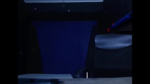 Diego online show from February 26, 2025, 11:30 am