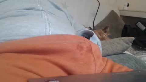 DiegoVLC online show from March 20, 2026, 11:37 am