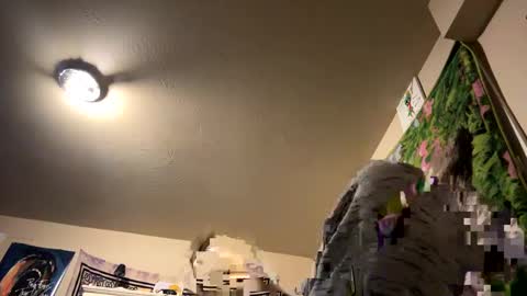 Snapshot of digbickjay42099 chatting on December 14, 2024, 11:07 am digbickjay42099 online show from December 14, 2024, 11:07 am