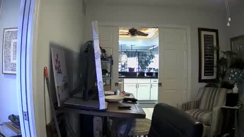 Snapshot of dirkpitt223 chatting on January 3, 2025, 4:37 pm DirtkPitt Fun guy working online show from January 3, 2025, 4:37 pm