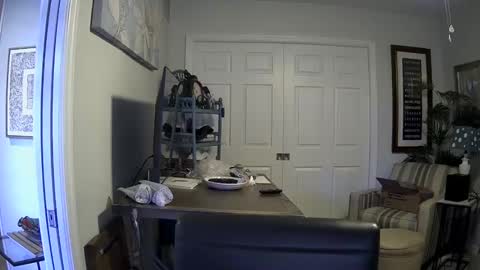 Snapshot of dirkpitt223 chatting on January 4, 2025, 6:40 pm DirtkPitt Fun guy working online show from January 4, 2025, 6:40 pm