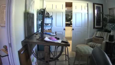 Snapshot of dirkpitt223 chatting on February 1, 2025, 6:40 pm DirtkPitt Fun guy working online show from February 1, 2025, 6:40 pm