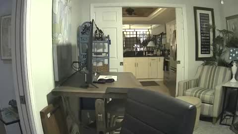 Snapshot of dirkpitt223 chatting on February 9, 2025, 6:01 am DirtkPitt Fun guy working online show from February 9, 2025, 6:01 am