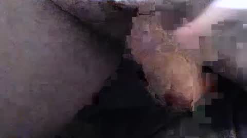 dirtyadventurer online show from January 22, 2025, 6:41 pm