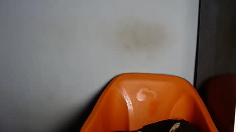 Snapshot of dirtydesirebabe chatting on April 2, 2026, 2:20 am dirtydesirebabe online show from April 2, 2026, 2:20 am