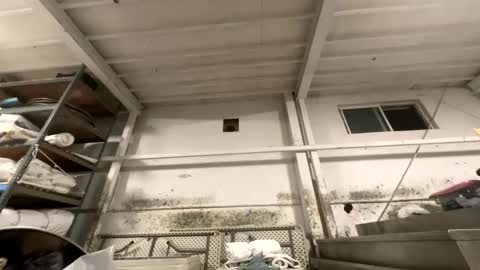 Snapshot of dishtv4all chatting on October 27, 2025, 3:21 am sexyguy online show from October 27, 2025, 3:21 am