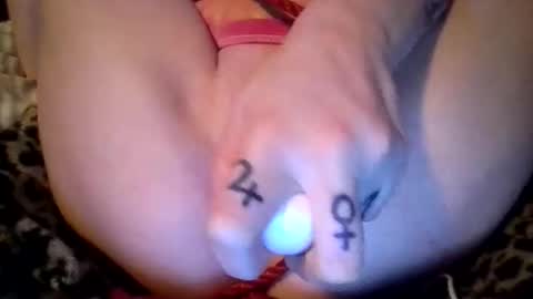 DizzieDezzzie online show from April 8, 2026, 9:04 pm